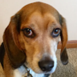 Meet your Posher, Zoë